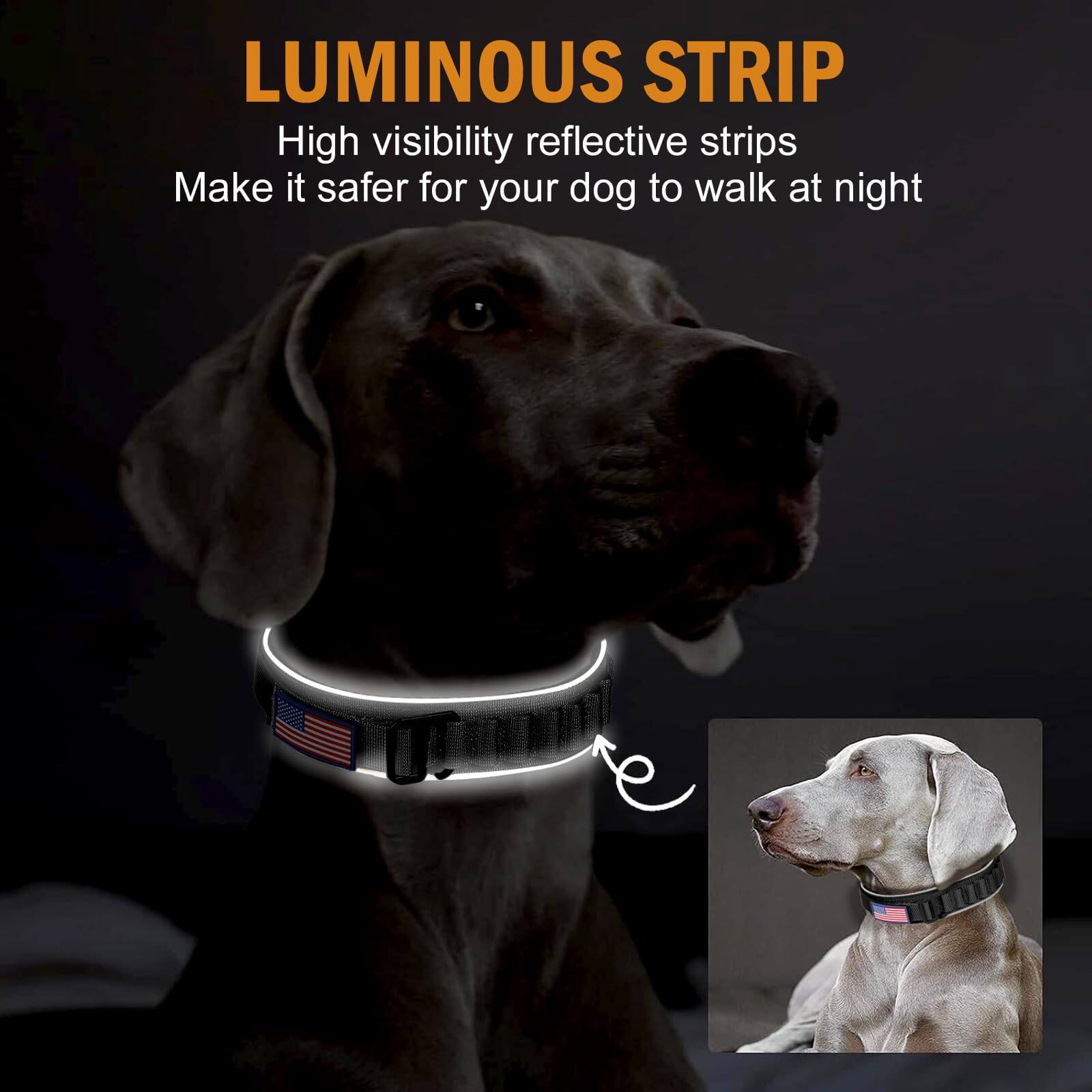 LUMINOUS STRIP

High visibility reflective strips  
Make it safer for your dog to walk at night