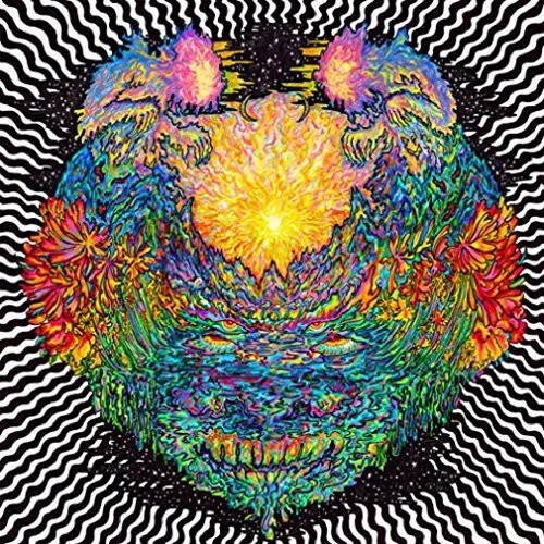 Front. Meatbodies - Meatbodies   - COMPACT DISCS.