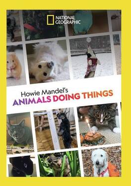 Howie Mandel's Animals Doing Things - DVD
