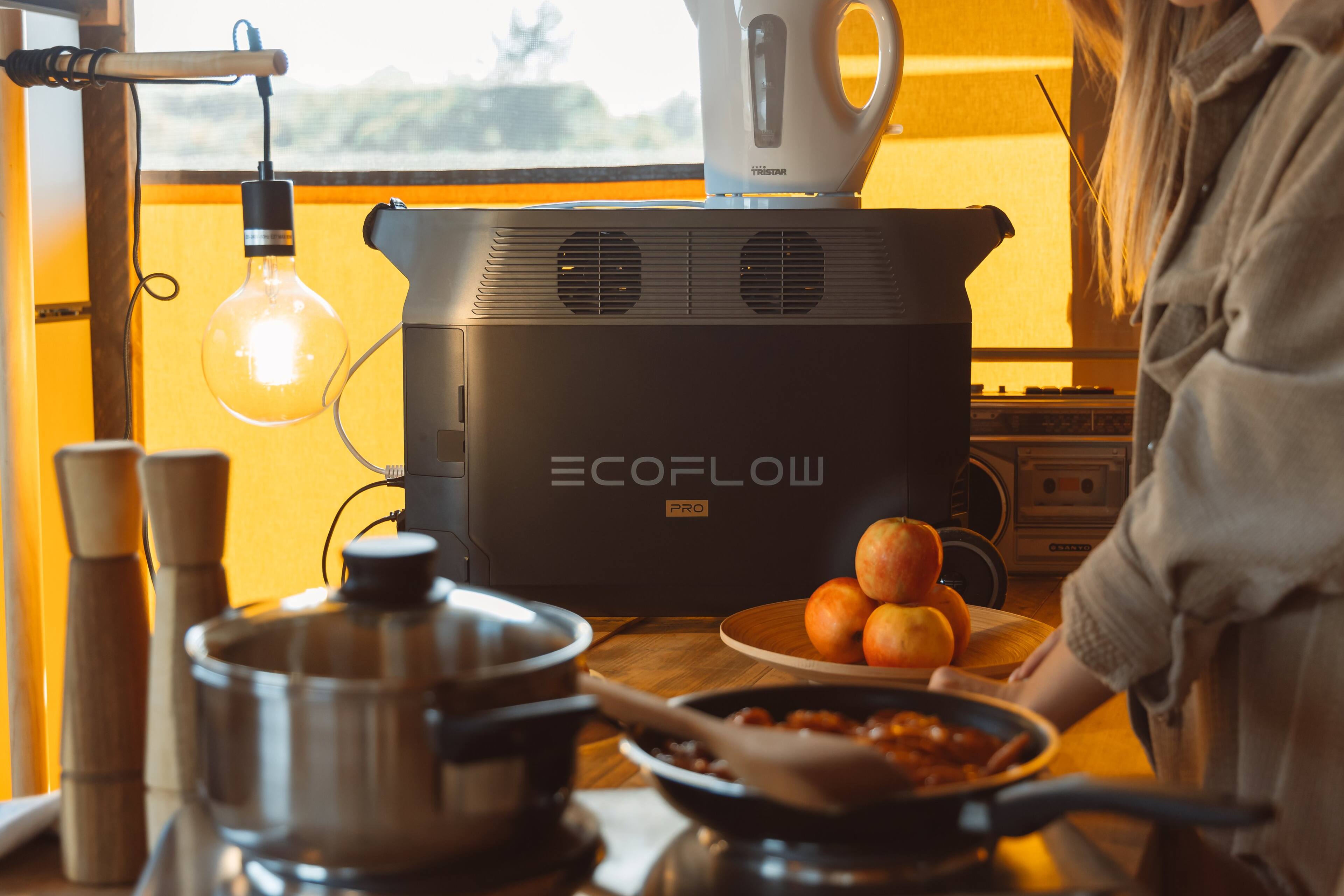 The text on the image reads "EcoFlow Pro Poontu."