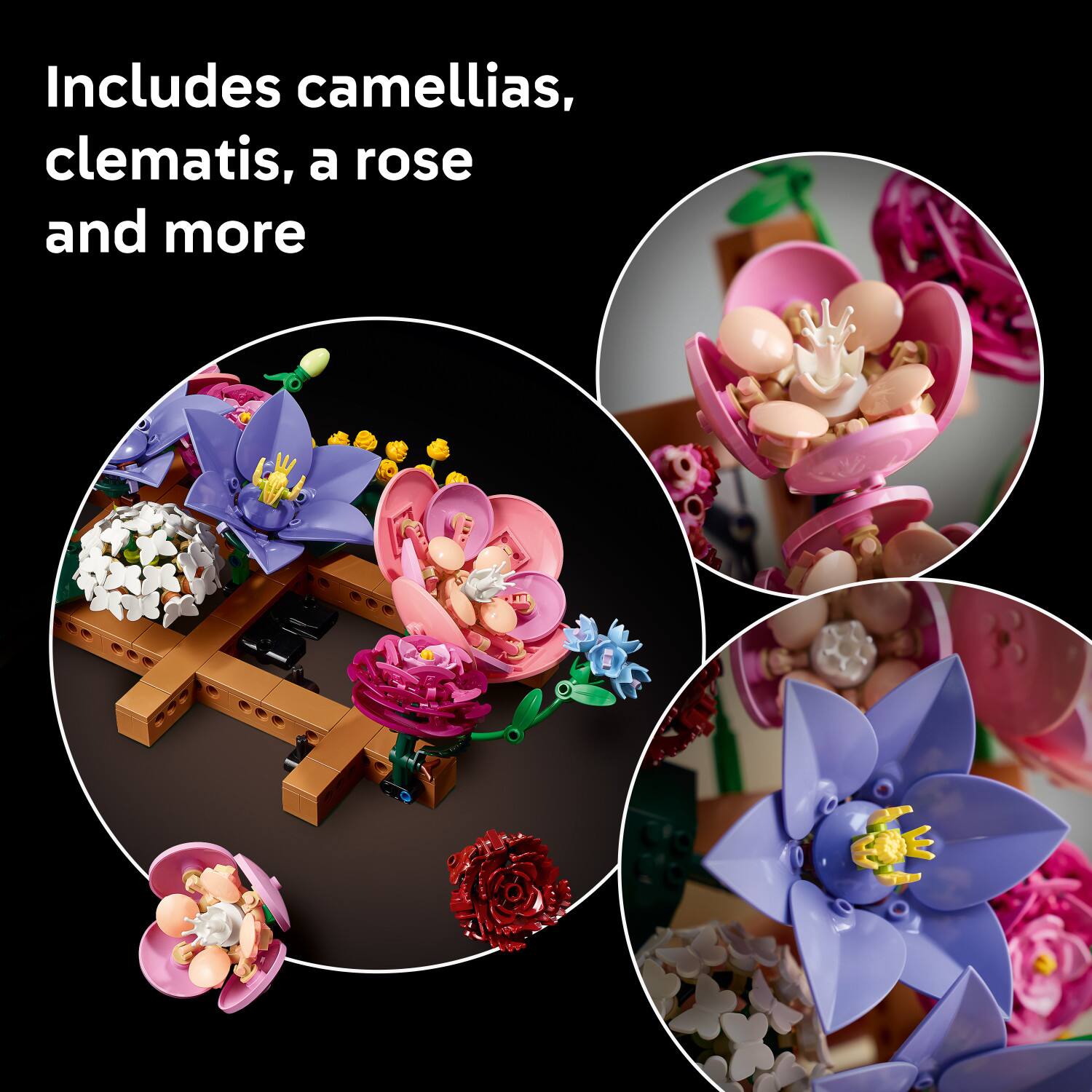 Includes camellias, clematis, a rose and more