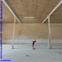 Torres - What an Enormous Room - VINYL LP