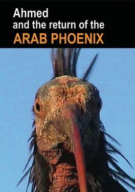 Ahmed and the Return of the Arab Phoenix (MOD) (DVD Movie)