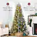 CHOOSE Warm White LED Lights OR SWITCH TO Multi Colored LED Lights