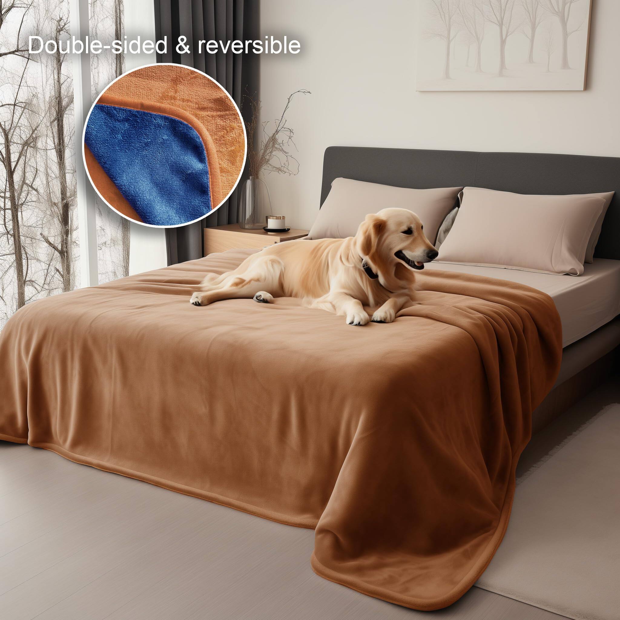 Double-sided & reversible