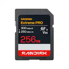 SANDISK Extreme PRO
300 MB/s R
250 MB/s W
V60
256GB