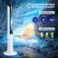 Customizable Airflow for Maximum Comfort 3 Wind Modes: Normal, Natural, Sleep 3 Wind Speeds: Low, Medium, High