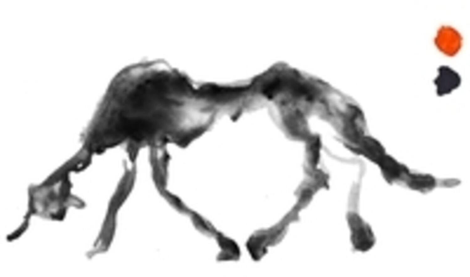 Front. Tom Jarmey - Daybreak   - VINYL LP.