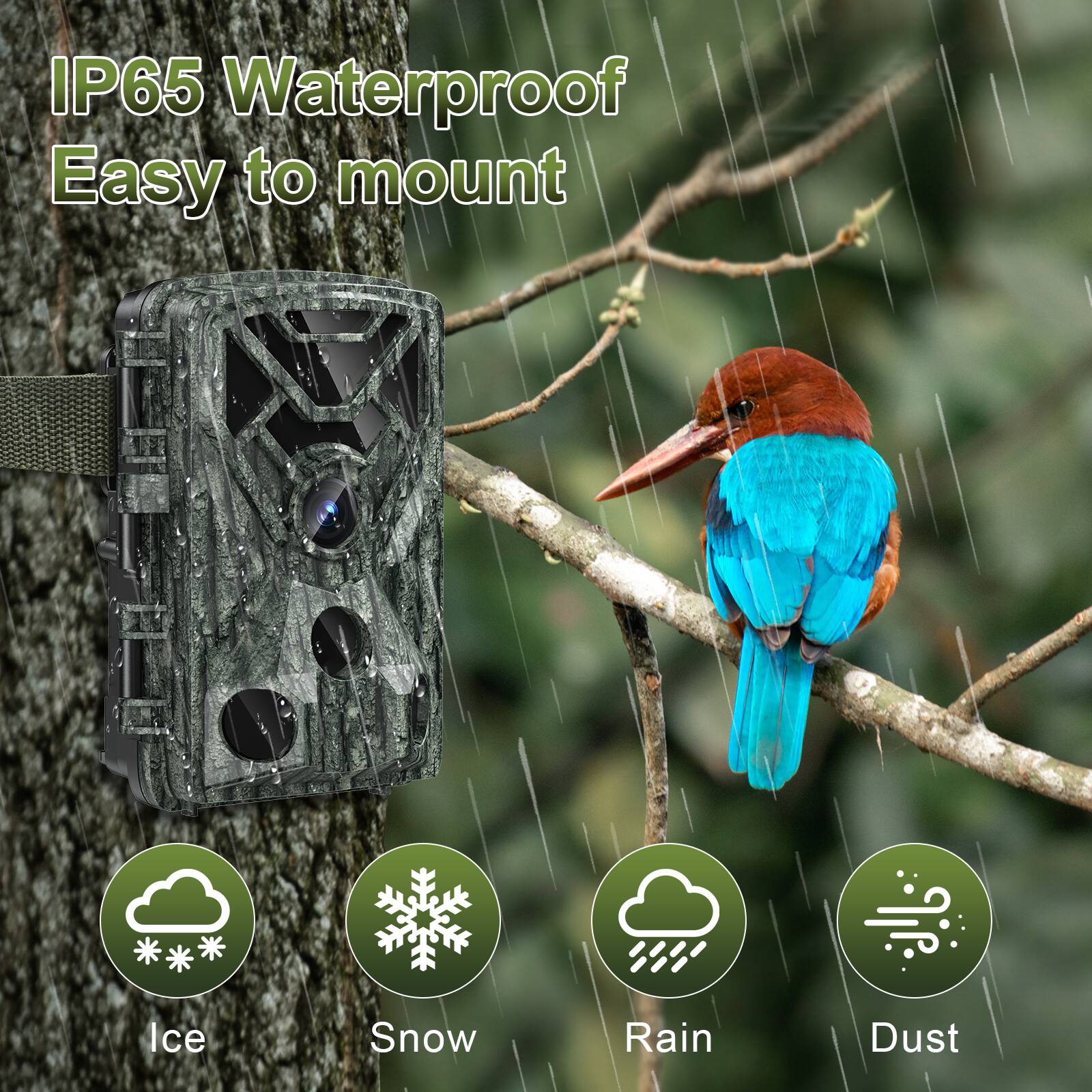 IP65 Waterproof  
Easy to mount  
Ice  
Snow  
Rain  
Dust