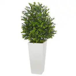BreeBe - 33" Sweet Grass Plant in White Planter (Indoor/Outdoor) - Green