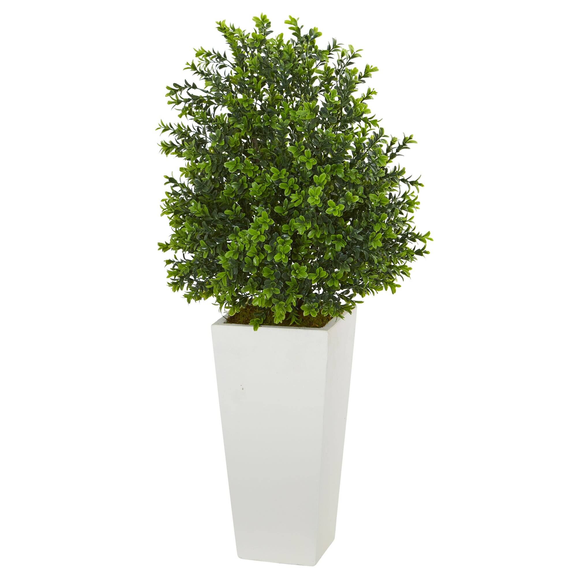 Front. BreeBe - 33" Sweet Grass Plant in White Planter (Indoor/Outdoor) - Green.