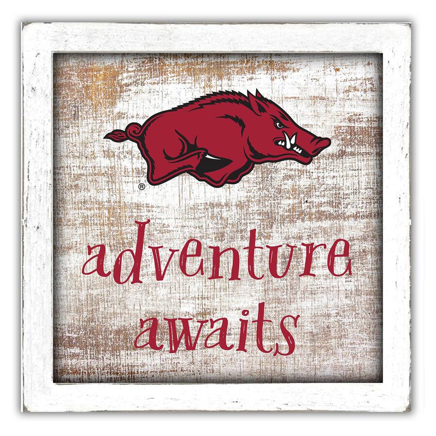 Razorback Small Box Fan Creations Arkansas Razorbacks 14'' x 13'' Adventure Awaits Money ...