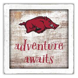 Fan Creations - Arkansas Razorbacks 14'' x 13'' Adventure Awaits Money Box - Multicolor