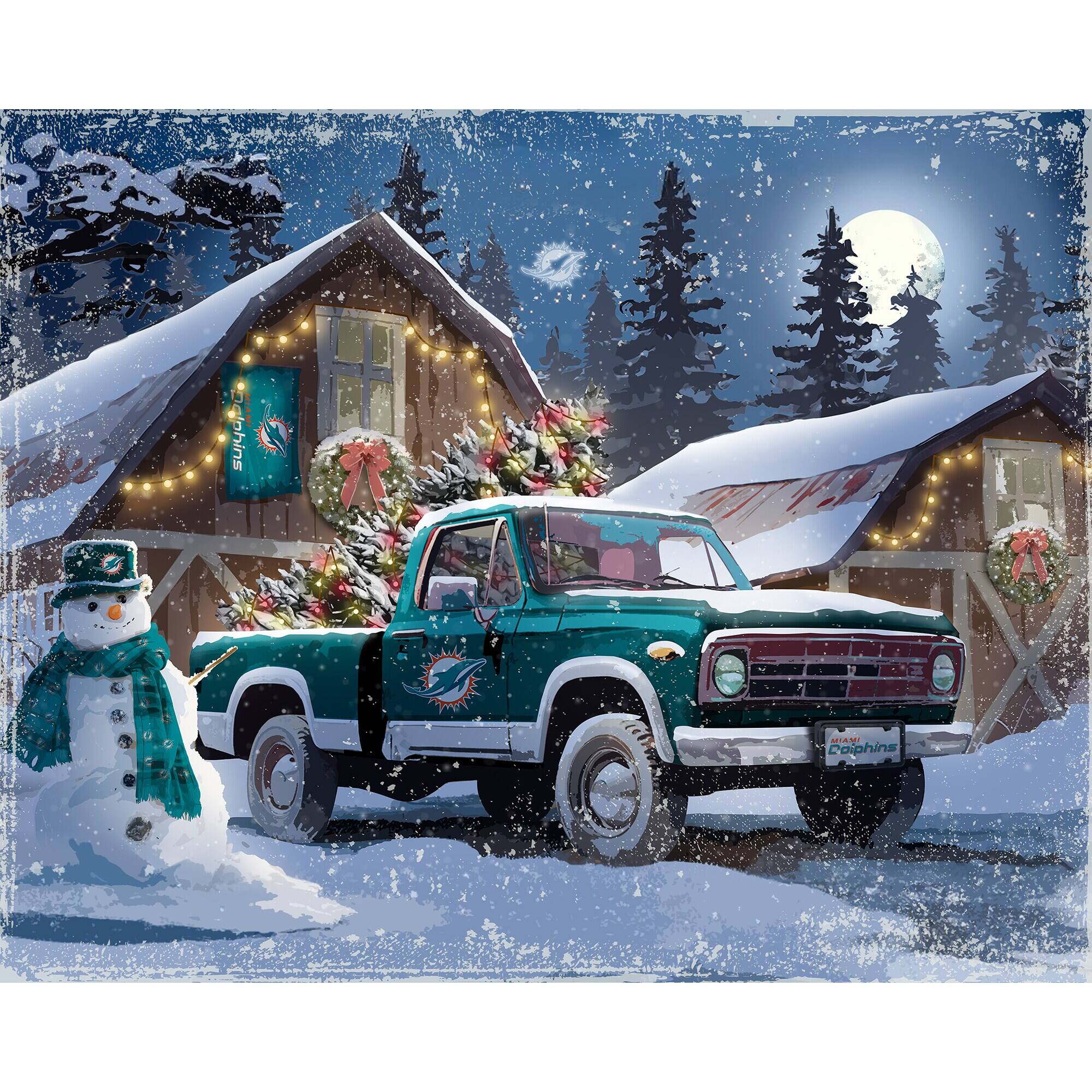 The text in the image reads:

- "MIAMI DOLPHINS" (on the truck's license plate)
- "Dolphins" (on the banner hanging on the house)