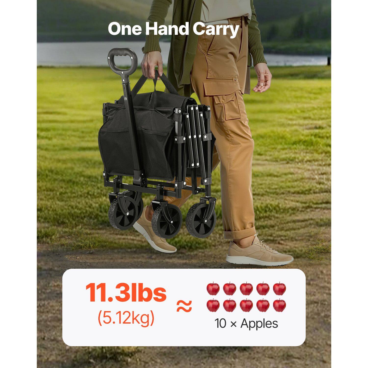 One Hand Carry  
11.3lbs (5.12kg)  
10 x Apples