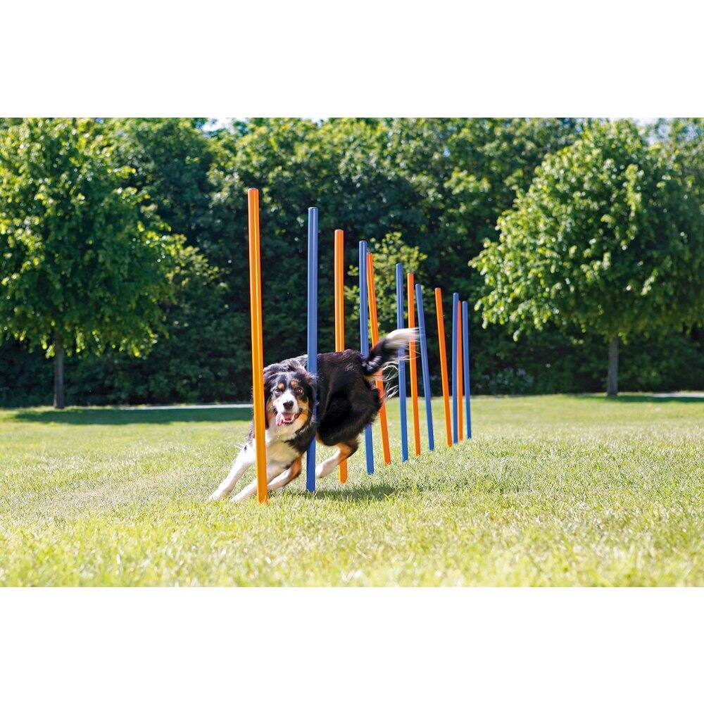 Angle. TRIXIE - Dog Agility Slalom Set, 12 Piece Weaving Poles - Blue/Orange.