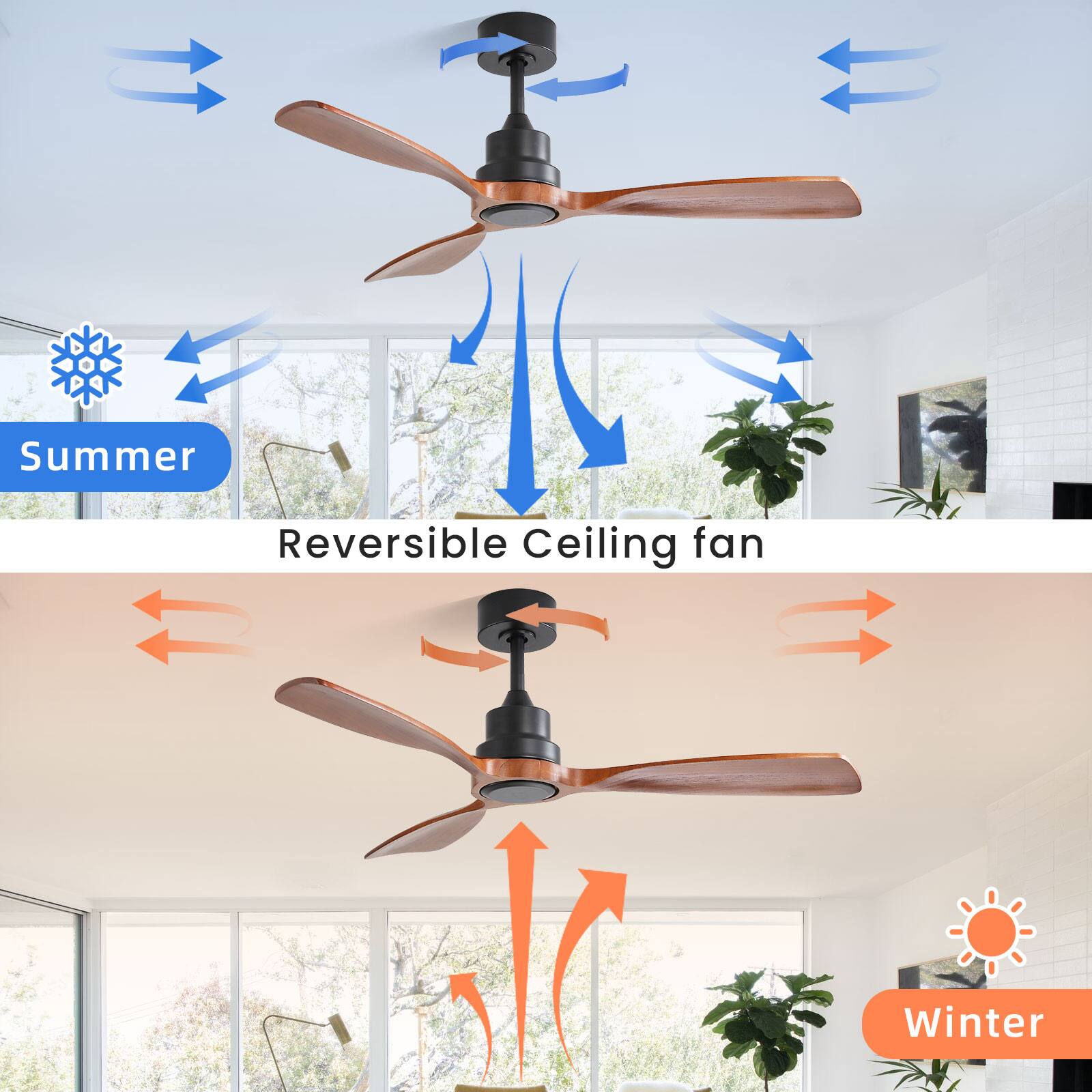 Reversible Ceiling Fan

Summer  
Winter
