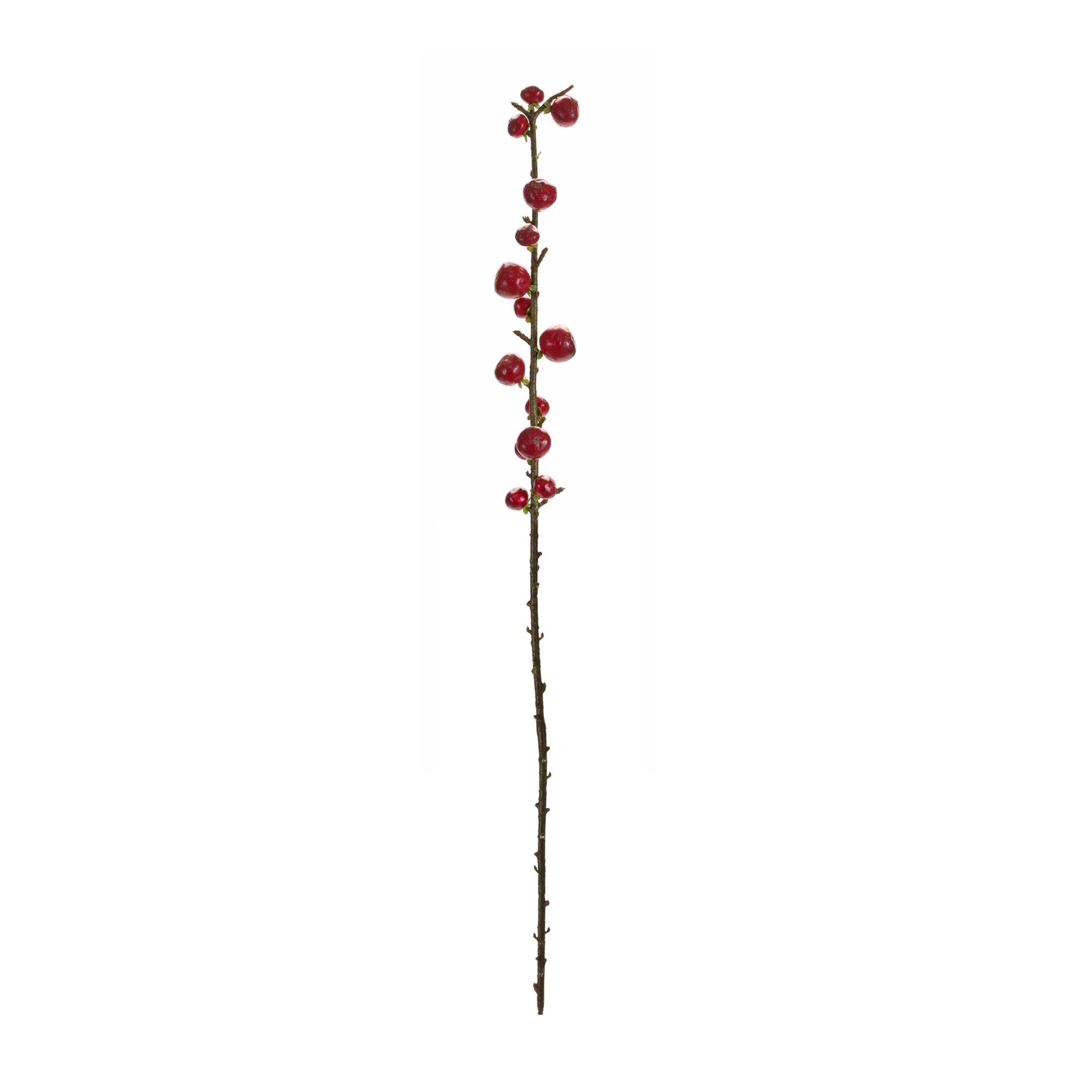 Left. BreeBe - Red Berry Twig Stem (Set of 6) - Red, Brown.