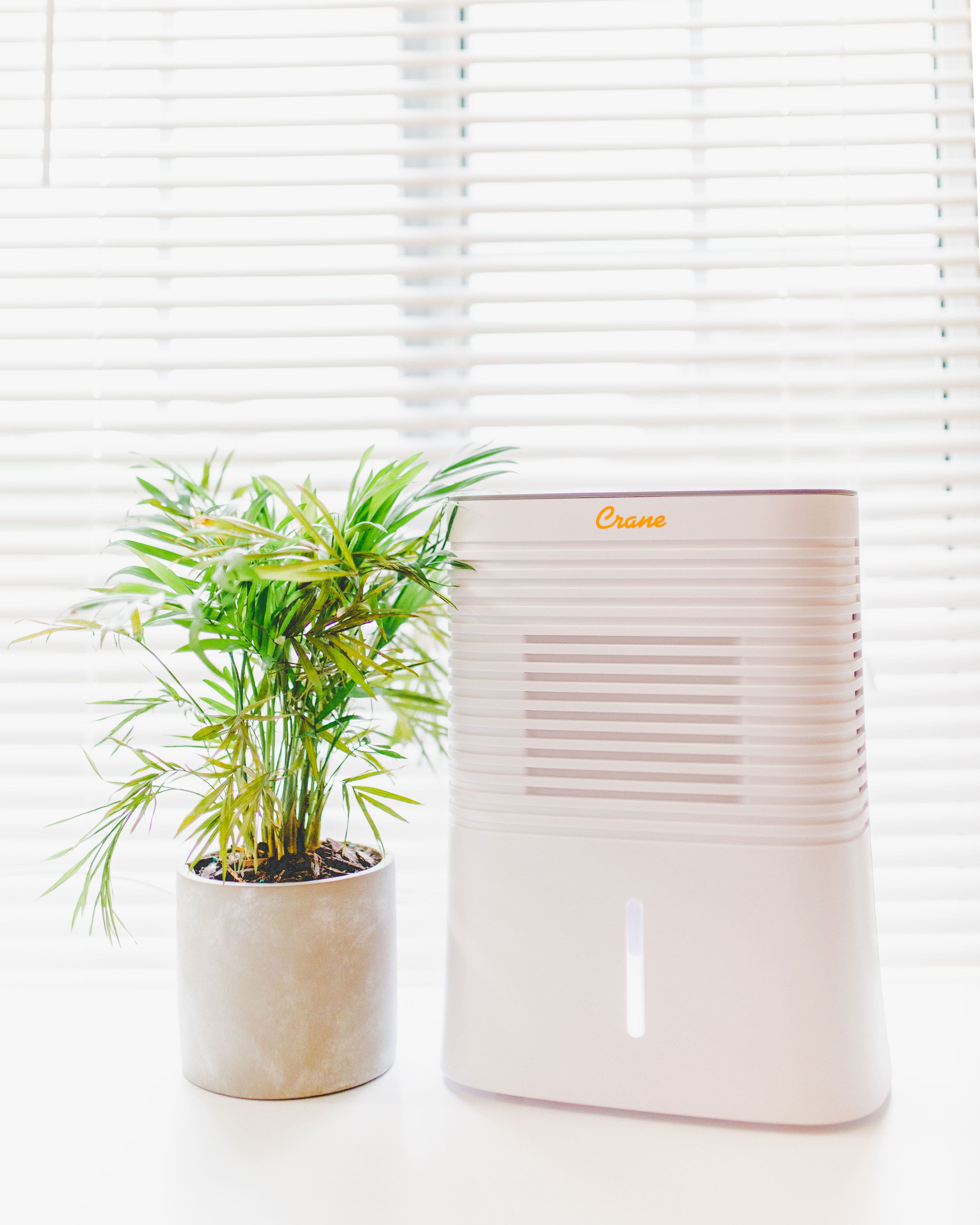 Angle. CRANE - 4 Pint Dehumidifier - White.