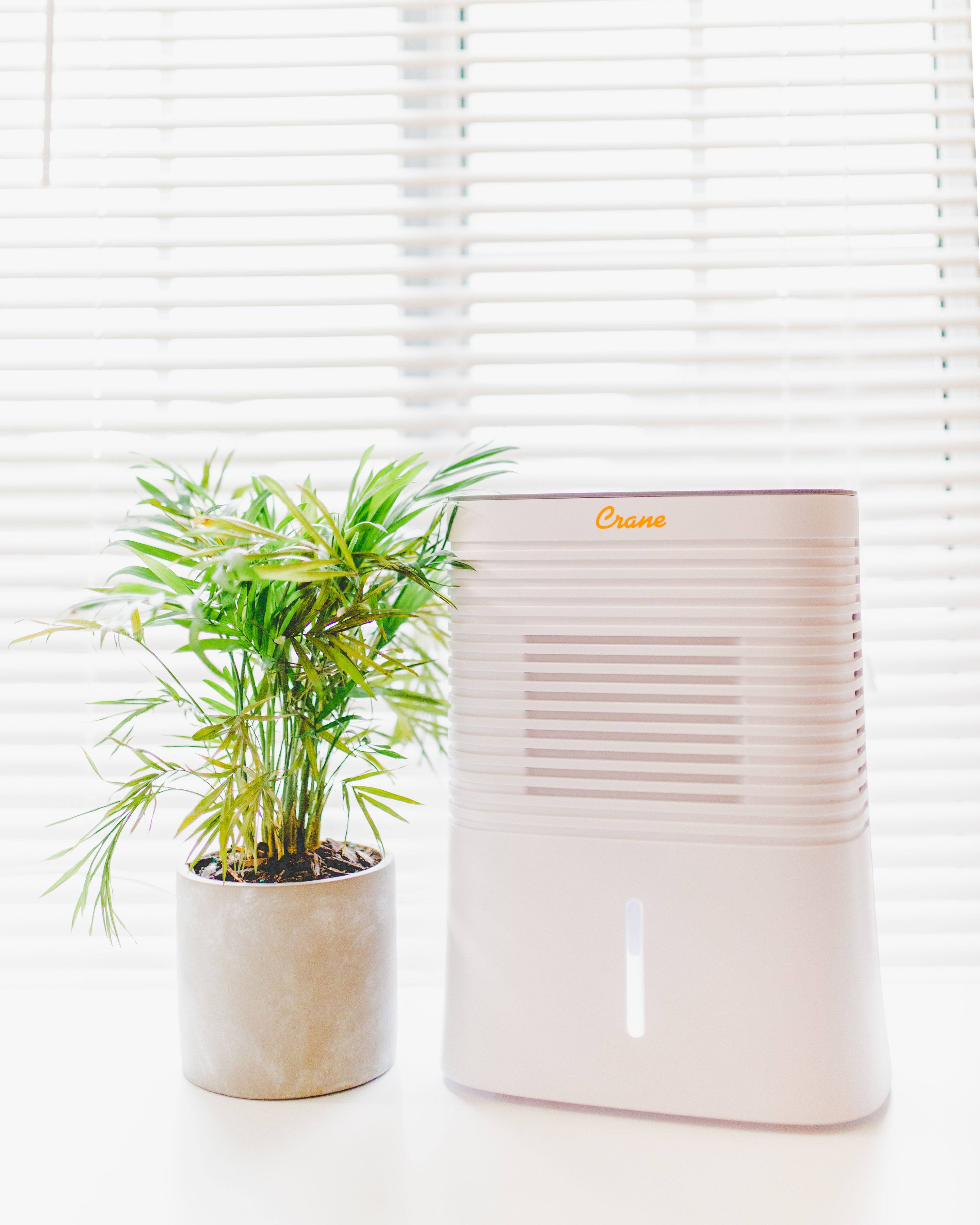 Angle. CRANE - 4 Pint Dehumidifier - White.