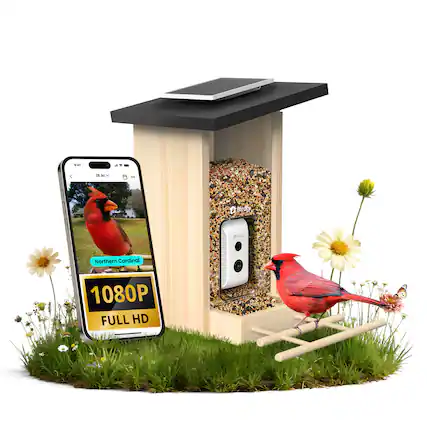 Sure, here is the corrected and grouped text from the image:
---
**Birdfy**
- Northern Cardinal
- 1080P FULL HD
---
**Birdfy**
- 1080P FULL HD
---