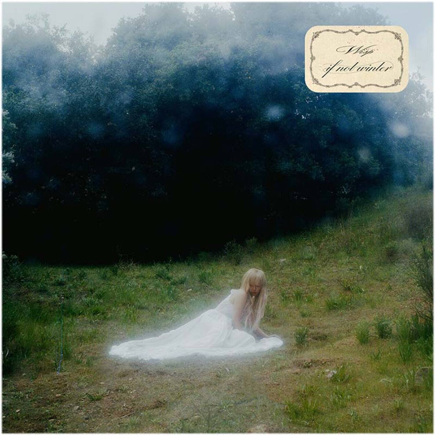 WISP - If Not Winter   - VINYL LP - Front_Zoom