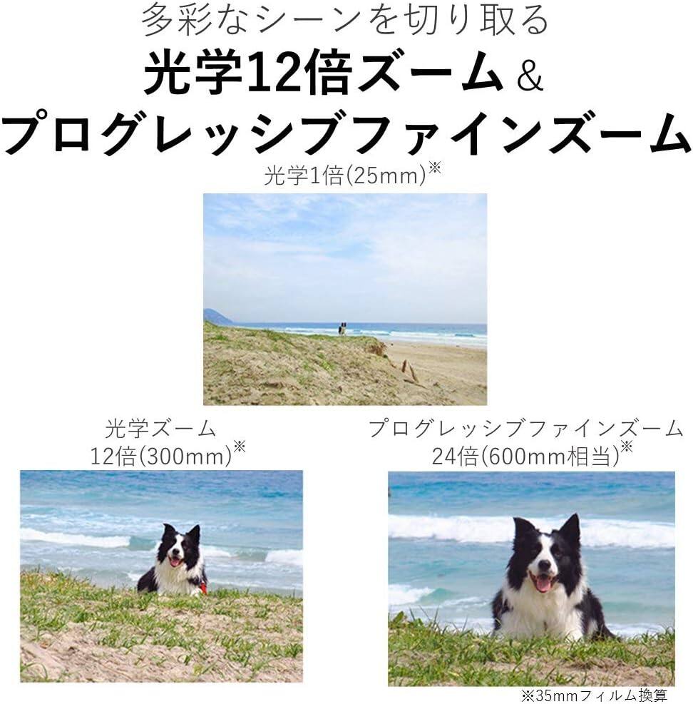 多彩なシーンを切り取る  
光学12倍ズーム & プログレッシブファインズーム  
光学1倍 (25mm)*  
光学ズーム 12倍 (300mm)*  
プログレッシブファインズーム 24倍 (600mm相当)*  
※35mmフィルム換算