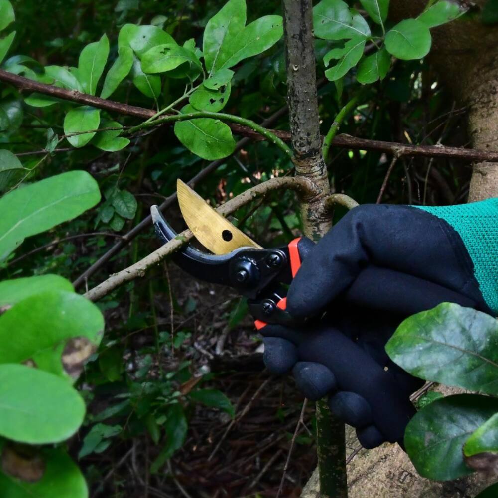 Alt View 1. Alchemy Casas - CARBON STEEL PRUNING SHEARS - Black - Black.