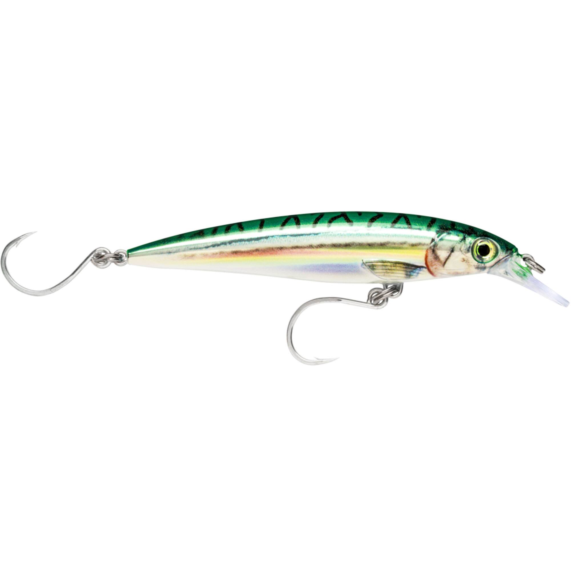 Green Mackerel