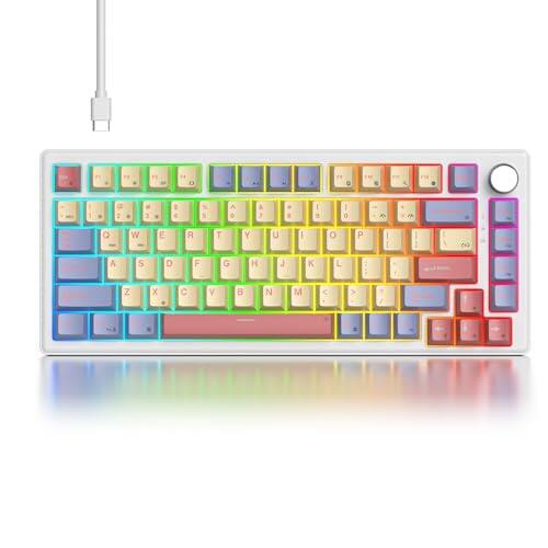 Cotton Candy/White Switch