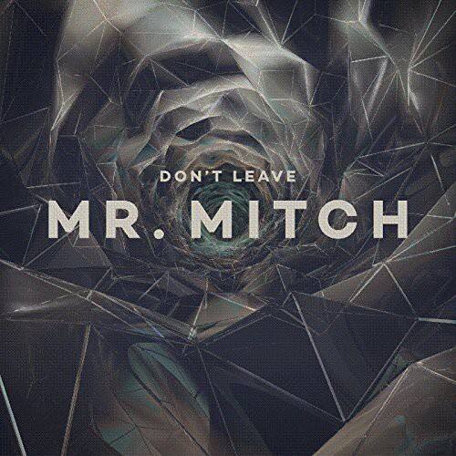 DON'T LEAVE MR. MITCH