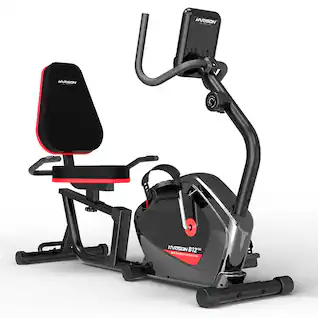 HARISON - Recumbent Exercise Bike, 400 lb, Quiet Magnetic Resistance, LCD Monitor, Adjustable Seat (BBB12B) - Black