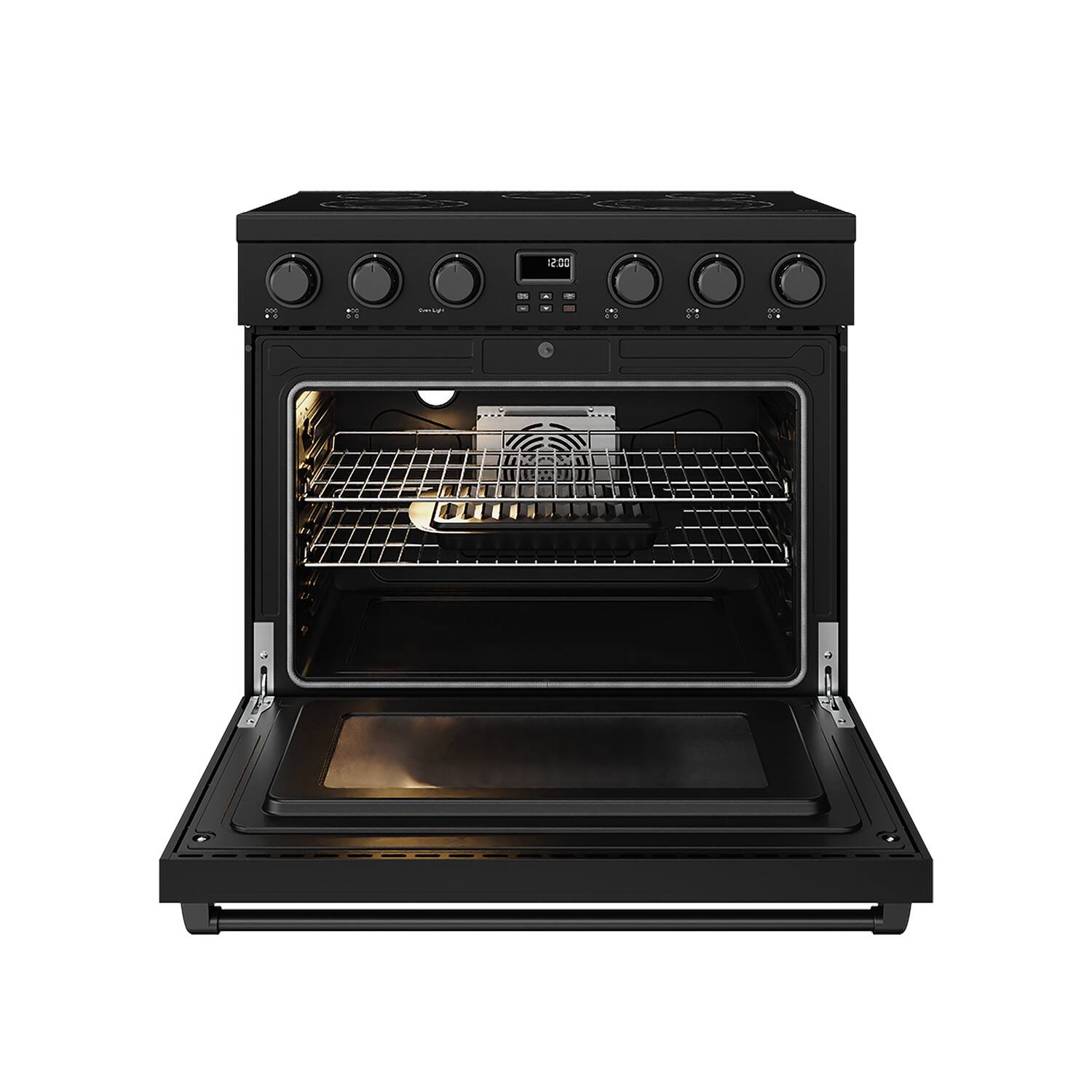 Back. Thor Kitchen - 6.0 Cu. Ft. Freestanding Electric Convection Range - Matte black.