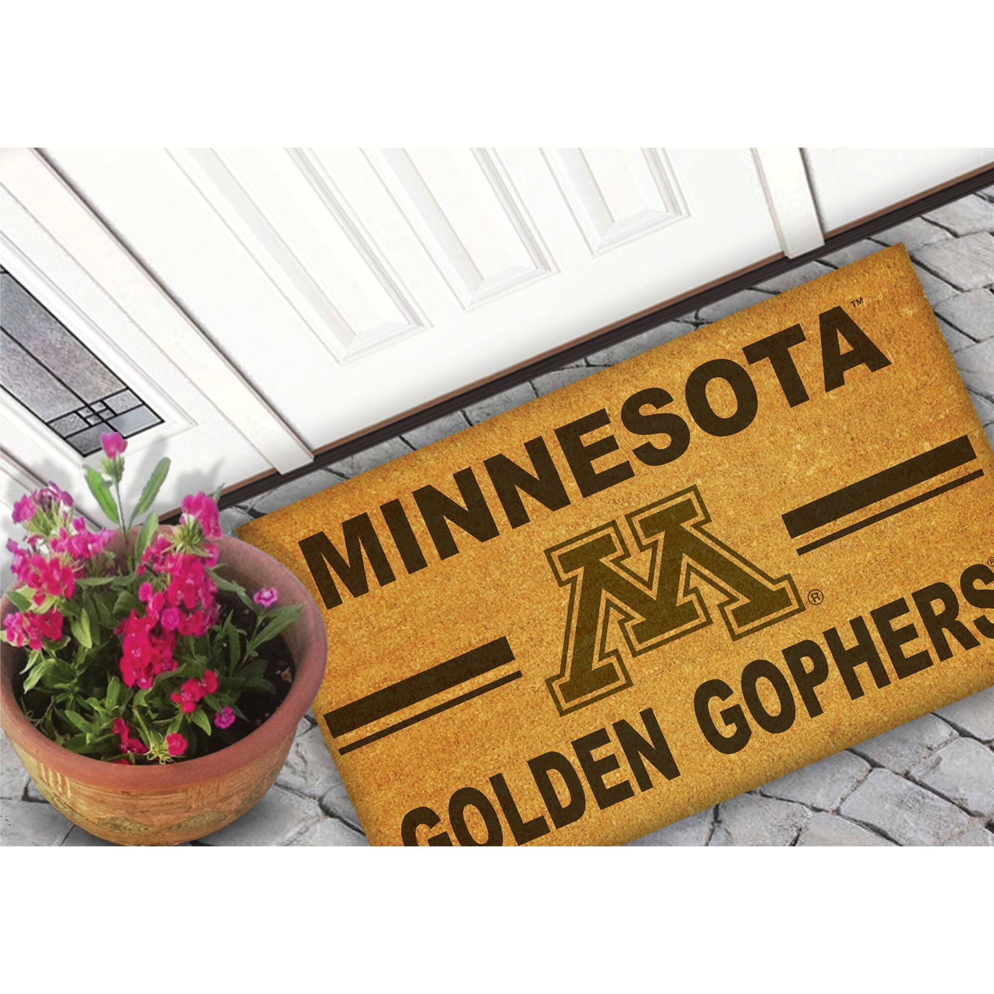 MINNESOTA  
GOLDEN GOPHERS
