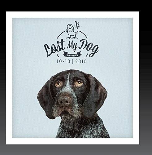 Lost My Dog  
10 YEARS  
10x10 | 2010
