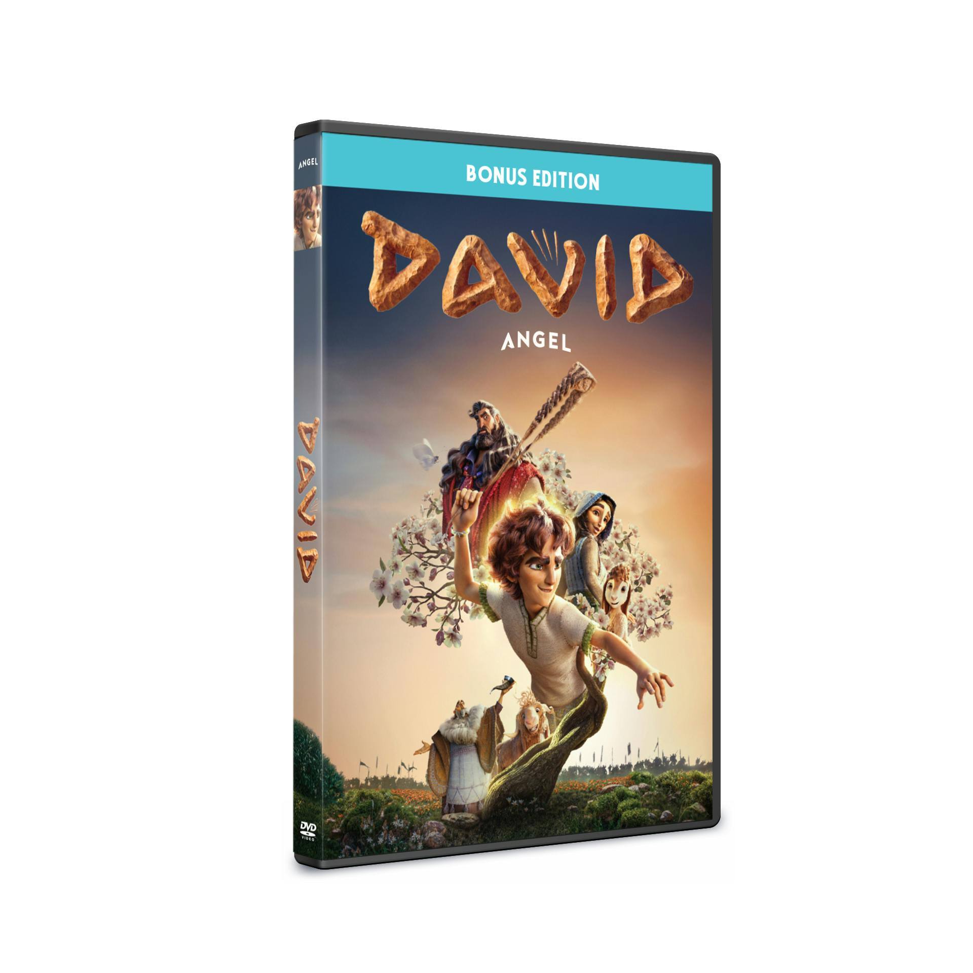 Angle. David [DVD].