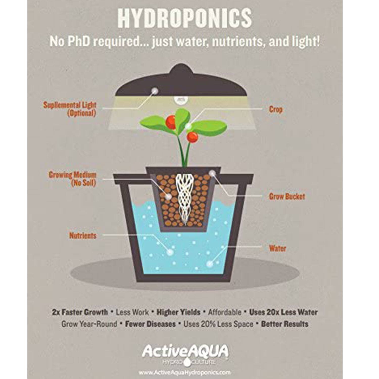 HYDROPONICS  
No PhD required... just water, nutrients, and light!  

Supplemental Light (Optional)  
Crop  
Growing Medium (No Soil)  
Grow Bucket  
Nutrients  
Water  

2x Faster Growth • Less Work • Higher Yields • Affordable • Uses 20x Less Water  
Grow Year-Round • Fewer Diseases • Uses 20% Less Space • Better Results  

ActiveAQUA  
HYDRO CULTURE  
www.ActiveAquaHydroponics.com
