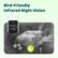 Bird-Friendly Infrared Night Vision
