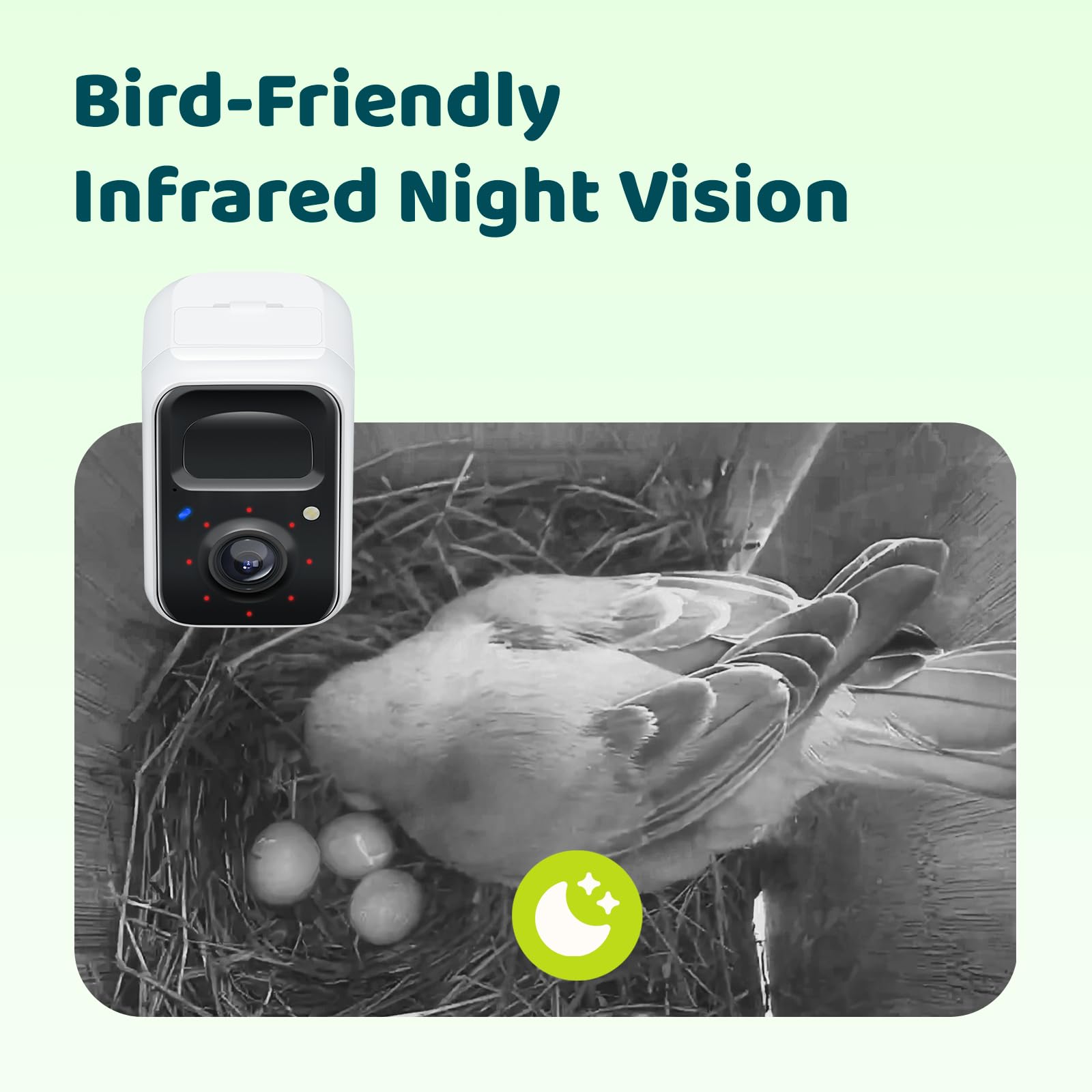Bird-Friendly Infrared Night Vision