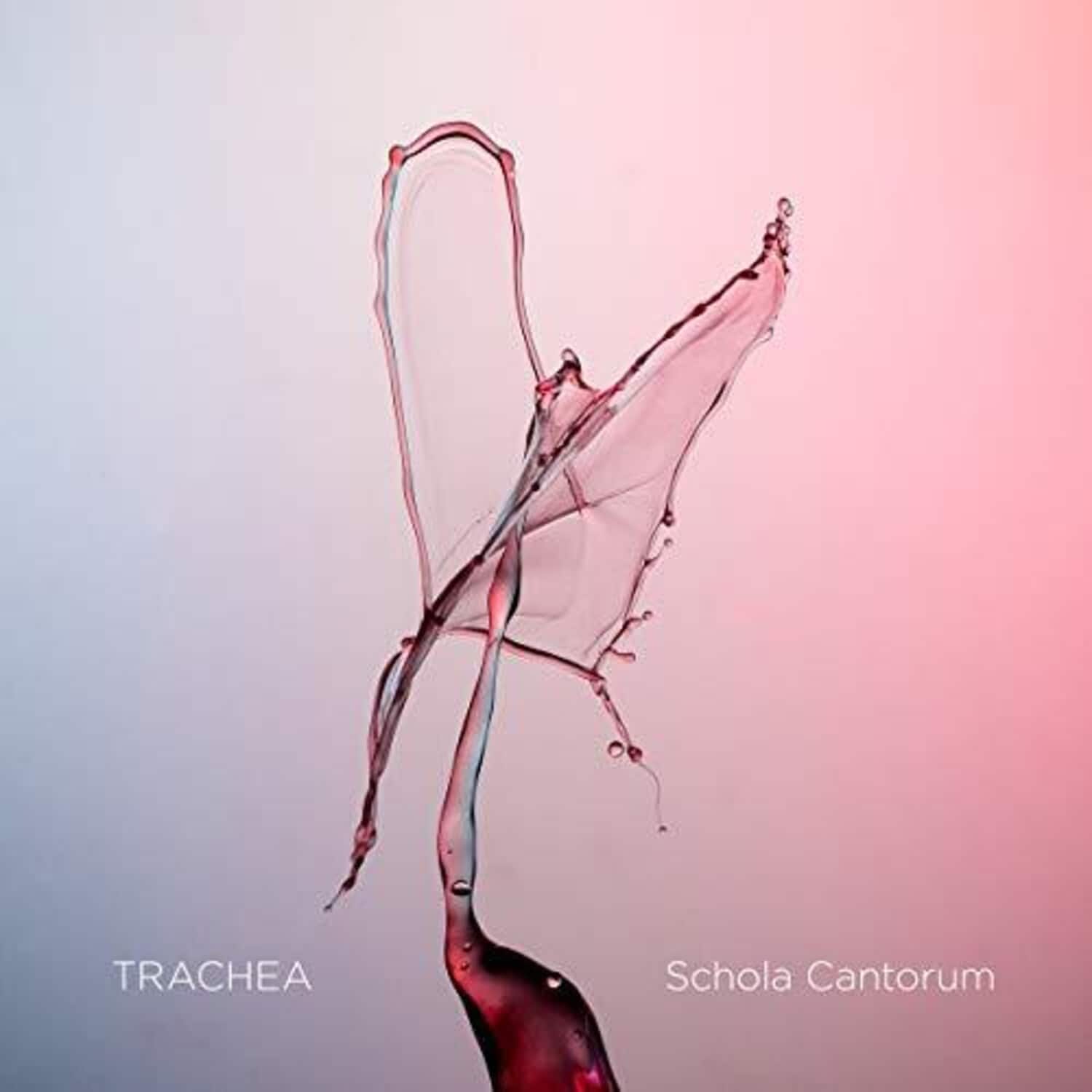 Various Artists - Trachea   - BLU-RAY AUDIO
