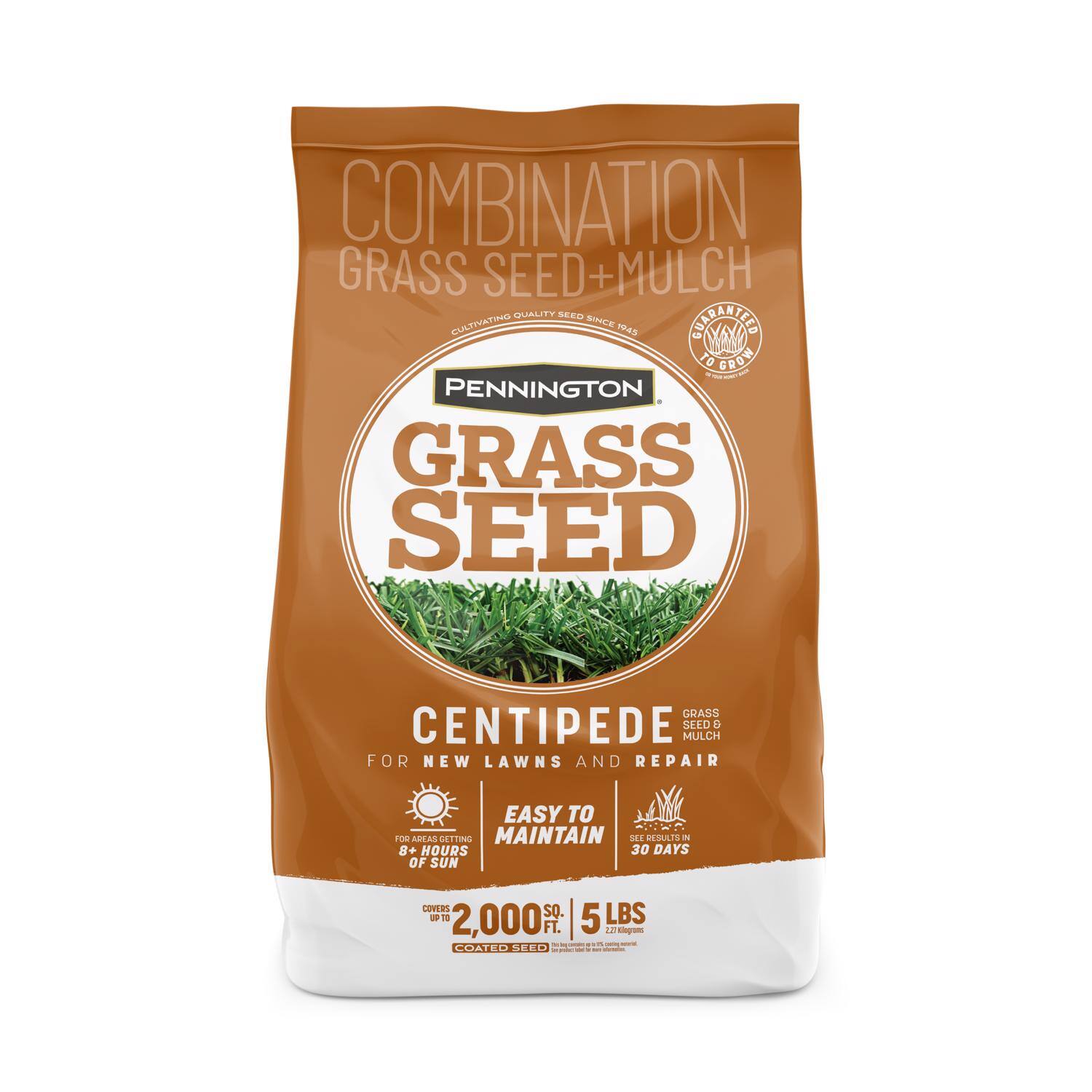 Pennington - Centipede Grass Full Sun Grass Seed and Mulch 5 lb price history on PriceWatchPro