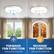 - FORWARD FAN FUNCTION: CIRCULATES COOL AIR
- REVERSE FAN FUNCTION: CIRCULATES WARM AIR