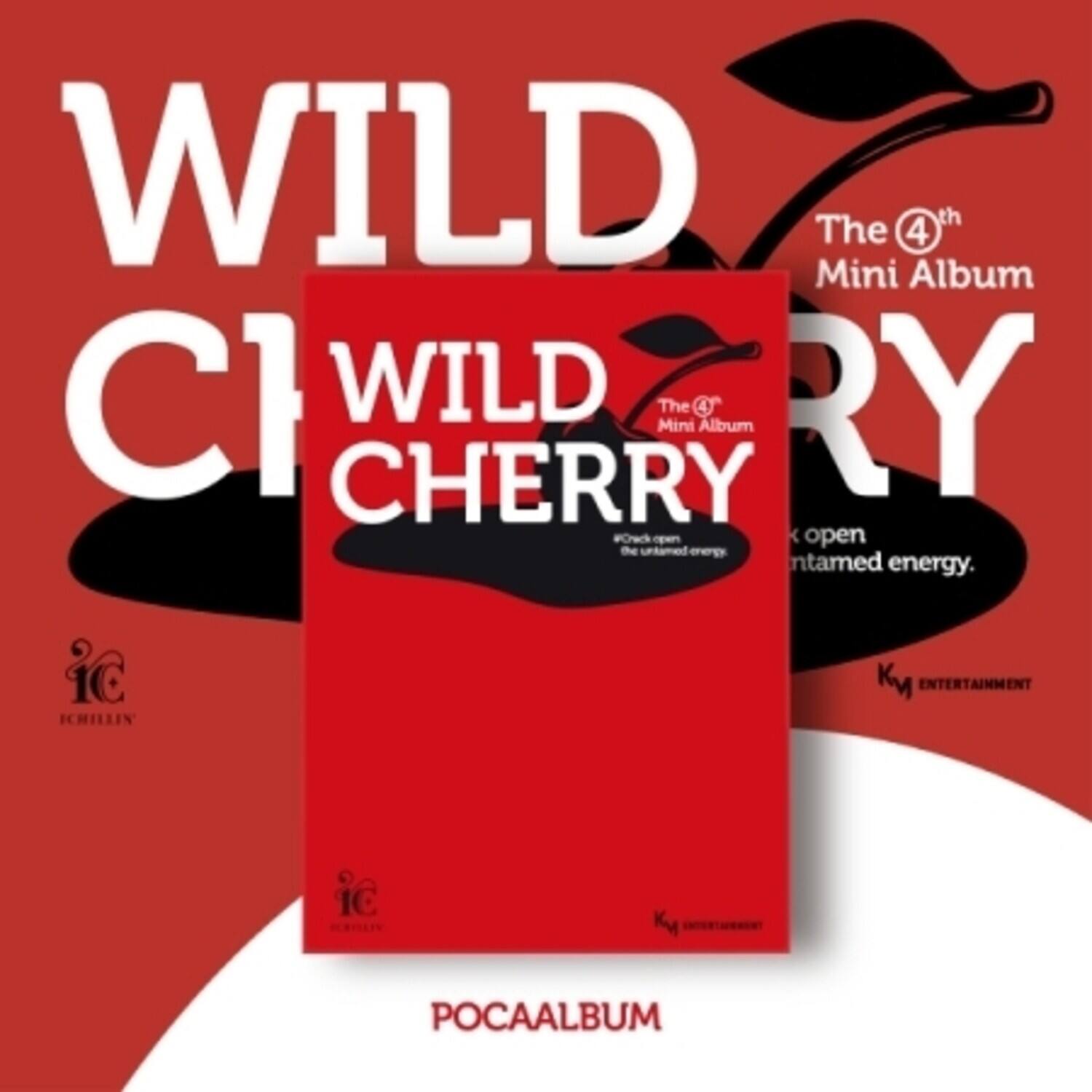 Ichillin' - Wild Cherry - Poca QR Card Album - incl. Photocard w/Stand, Unit Photocard + Sticker   - DISCLESS DIGITAL [Digital Download] price history on PriceWatchPro