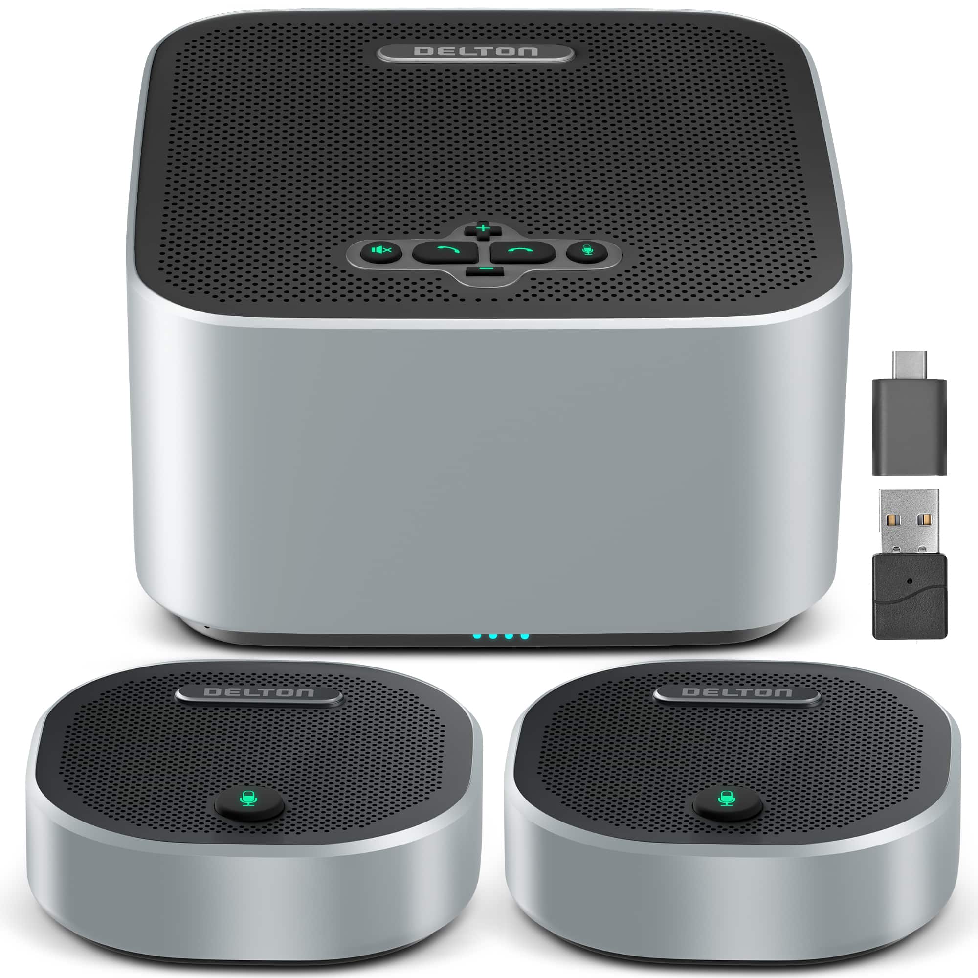 Delton - C9270 Wireless Conference Speaker with 2 Mics (DSC9270S) - Black