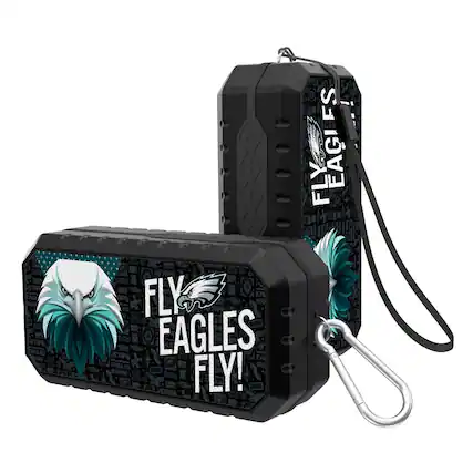 FLY EAGLES FLY!