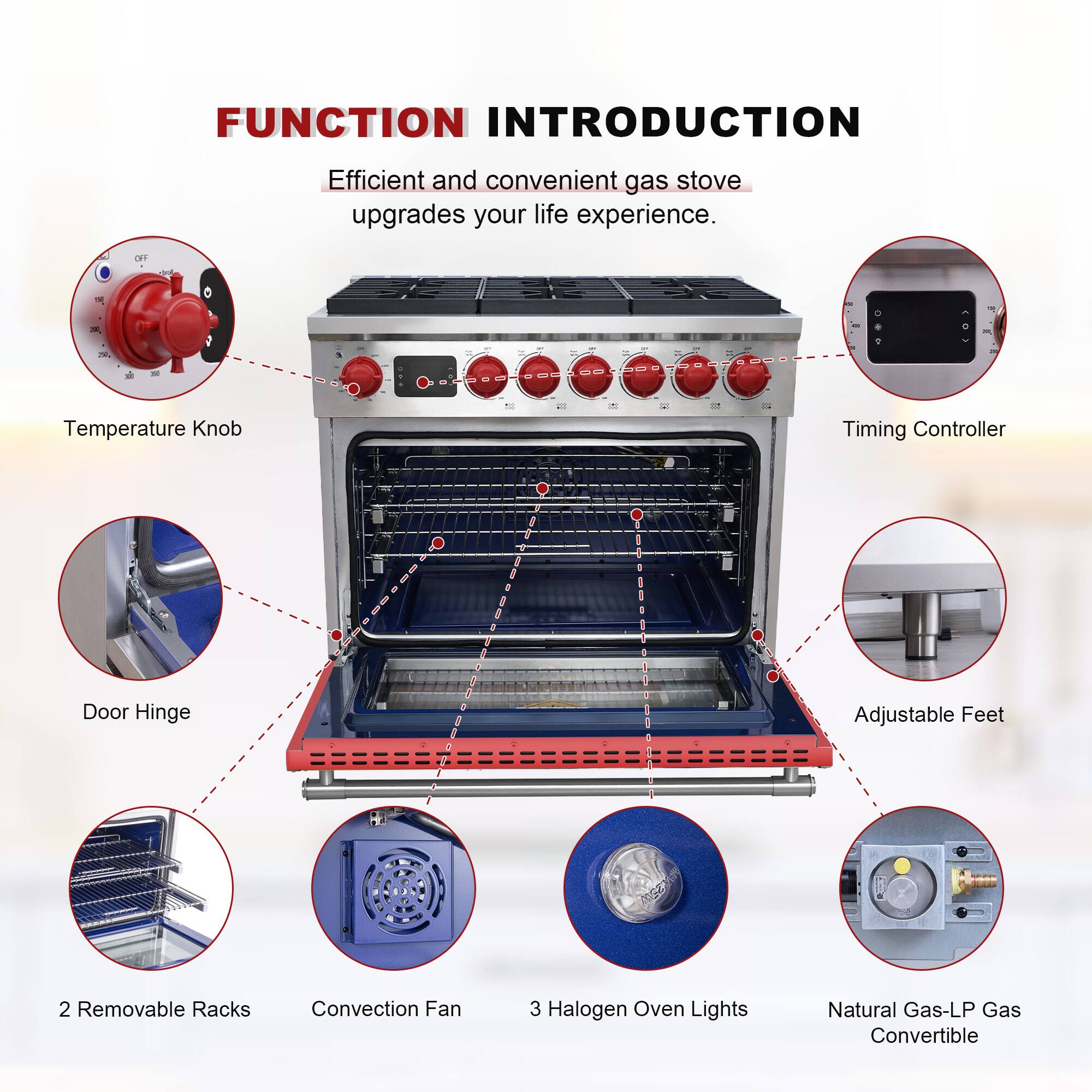 FUNCTION INTRODUCTION  
Efficient and convenient gas stove upgrades your life experience.

- Temperature Knob
- Timing Controller
- Door Hinge
- Adjustable Feet
- 2 Removable Racks
- Convection Fan
- 3 Halogen Oven Lights
- Natural Gas-LP Gas Convertible