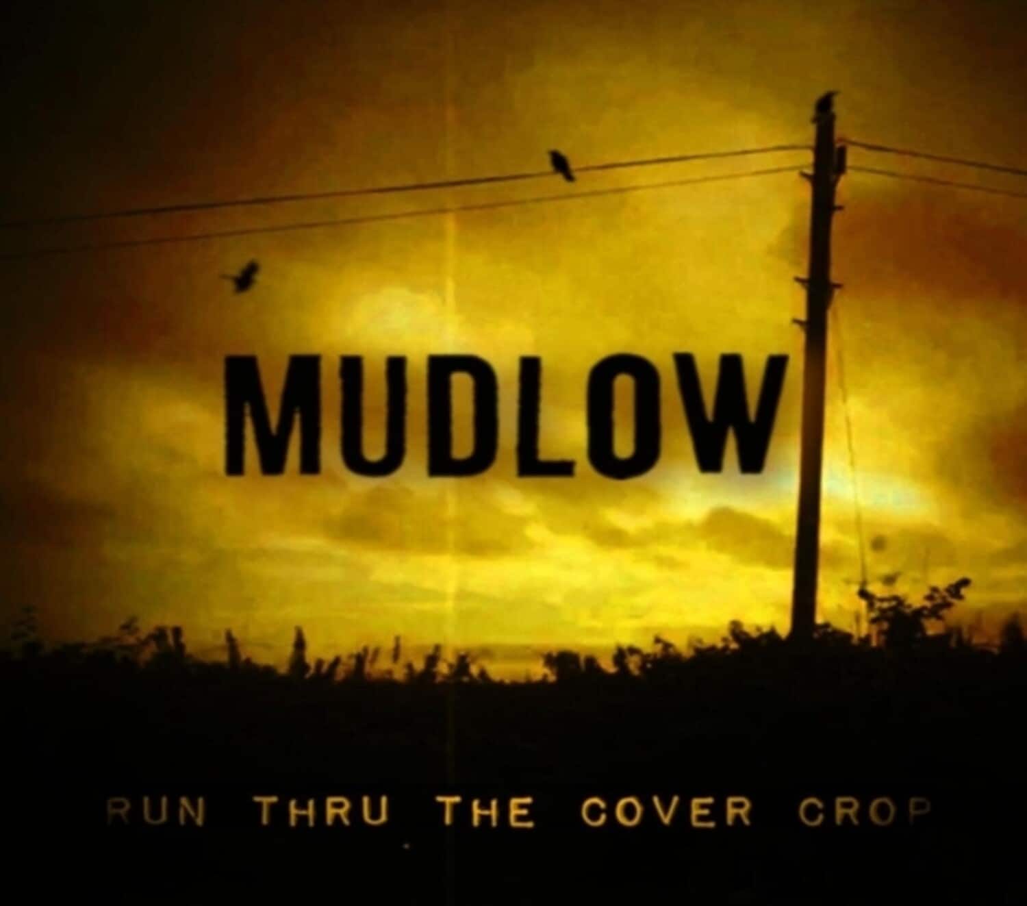 Mudlow - Run Thru The Cover Crop   - COMPACT DISCS [CD] price history on PriceWatchPro