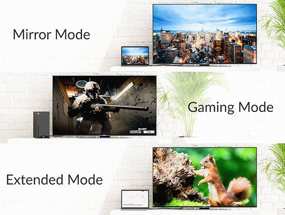 Mirror Mode  
Gaming Mode  
Extended Mode