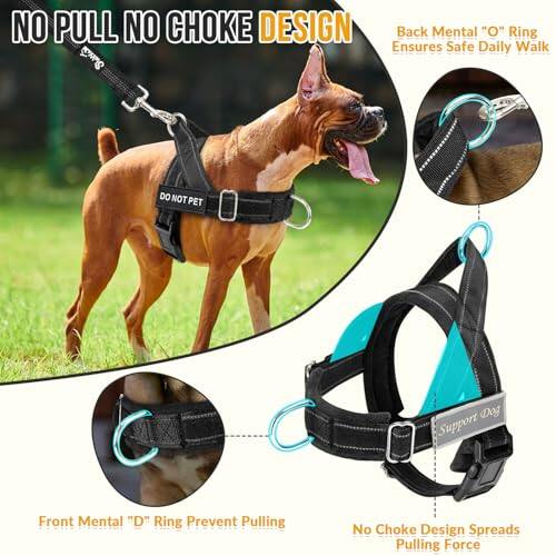 **NO PULL NO CHOKE DESIGN**

- **Back Mental "O" Ring**  
  Ensures Safe Daily Walk

- **Front Mental "D" Ring**  
  Prevent Pulling

- **No Choke Design**  
  Spreads Pulling Force

- **DO NOT PET**