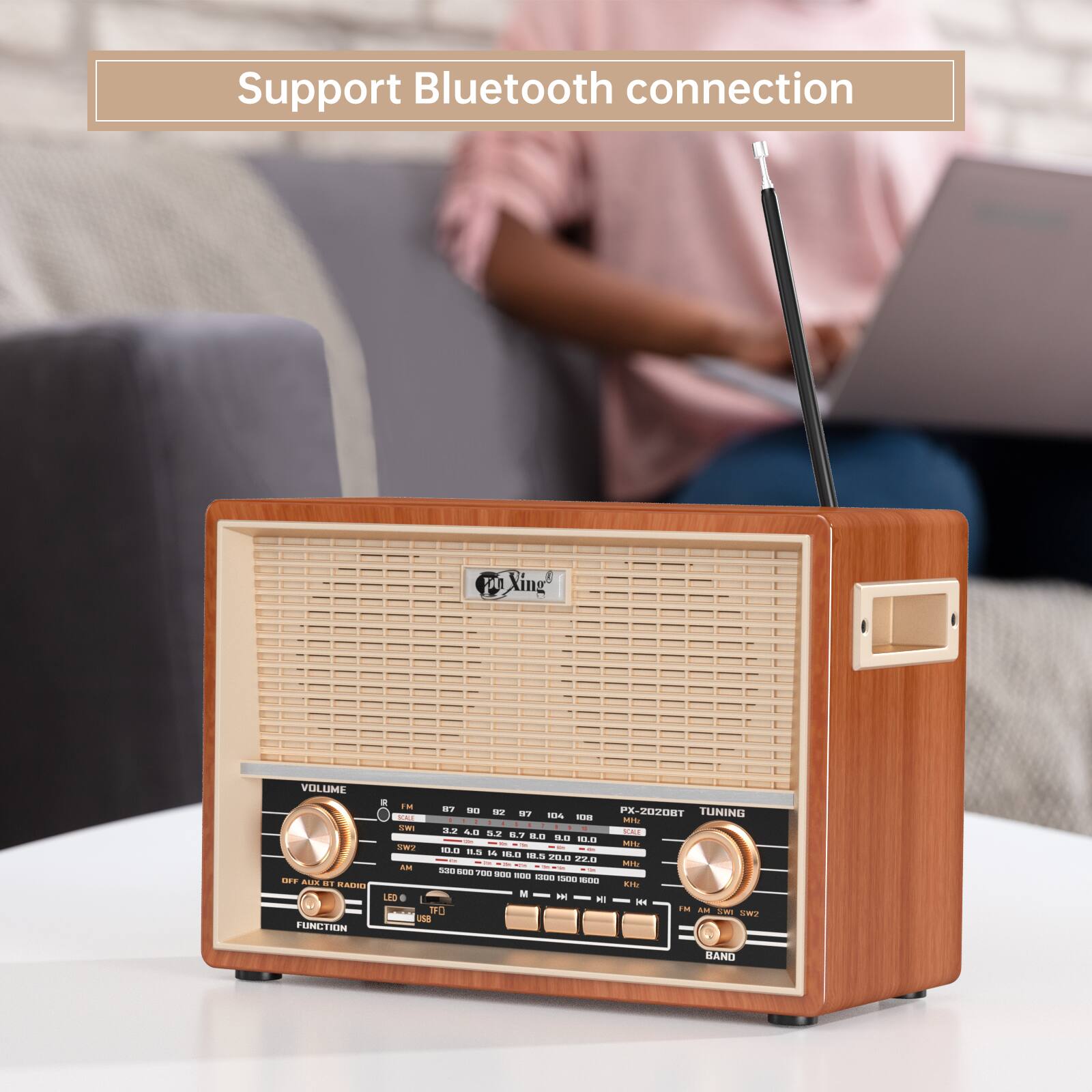 Support Bluetooth connection

PX-2020BT

VOLUME

TUNING

FUNCTION

USB

TF

AM

FM

BAND